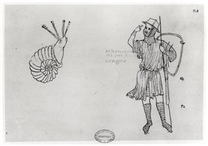 Fol.2 Snegl og ungarsk soldat (faksimilekopi)