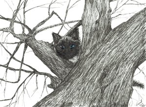 Apple tree Baby, 2015, (blekk på papir) av Vincent Alexander Booth