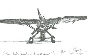 Lysander ved Old Warden, 2012 av Vincent Alexander Booth