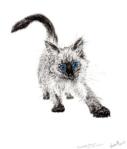 On the prowl !, 2015, (blekk på papir) av Vincent Alexander Booth
