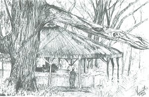 Utendørs bar, innsjøen Naivasha, 2006; (blekk på papir) av Vincent Alexander Booth
