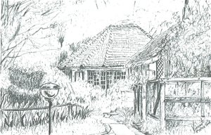 Rommene på hotellet, Lake Naivasha, 2006 av Vincent Alexander Booth