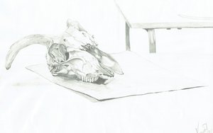 Hodeskalle av Vincent Alexander Booth