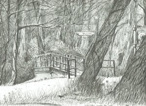 Den gamle metallbroen, Bramhall park, 2004 av Vincent Alexander Booth