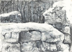 Wall in the Woods Osmotherley av Vincent Alexander Booth