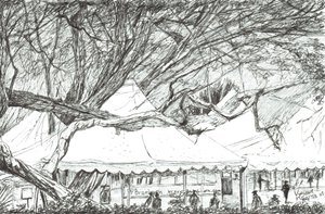 Bryllupstelt ved Lake Nawesha Kenya, 2003 av Vincent Alexander Booth