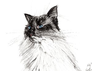 Hvorfor? 2016, (blekk på papir) av Vincent Alexander Booth
