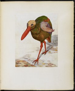 Stort hodeskalle-steintrav, fra 