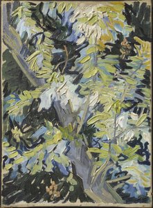 Acacia en fleur - Acacia Flowering, av Gogh, Vincent, van (1853-1890). Olje på lerret. Mål: 33x24 cm. Nationalmuseum Stockholm av Vincent van Gogh