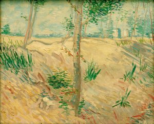 Trestammer i sollys av Vincent van Gogh