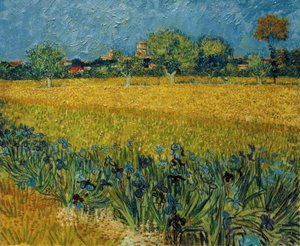 Utsikt over Arles med irisblomster i forgrunnen