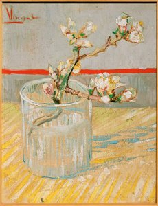 Blomstrende mandelgren i et glass, mars 1888 (maleri på lerret) av Vincent van Gogh