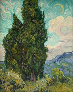 Sypresser av Vincent van Gogh