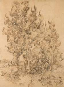 Sypresser av Vincent van Gogh