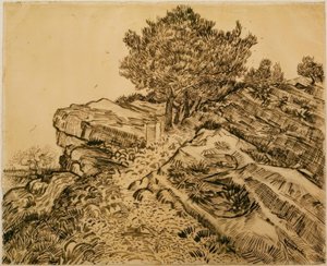 Klippen i Montmajour med furutrær av Vincent van Gogh
