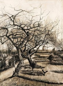 Hagen til prestegården i Nuenen. 1884 av Vincent van Gogh