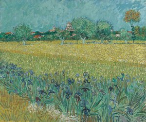 Felt med blomster nær Arles av Vincent van Gogh