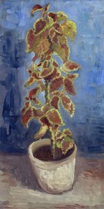 Flammenesle i en blomsterpotte av Gogh, Vincent, varebil (1853-1890). Olje på lerret, størrelse: 42,1x21,9 av Vincent van Gogh