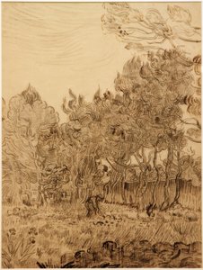 I sanatoriets park av Vincent van Gogh