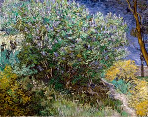 Syrinbusken. Vincent VAN GOGH (1853-1890) av Vincent van Gogh