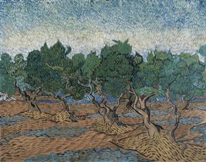 Olivenlund av Vincent van Gogh