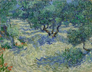 Oliventrær / Olivenlund av Vincent van Gogh