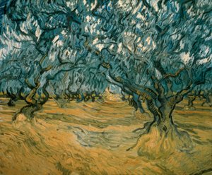 Oliventrær av Vincent van Gogh