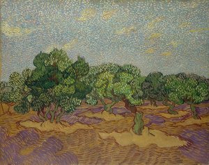 Oliventrær. 1889 av Vincent van Gogh