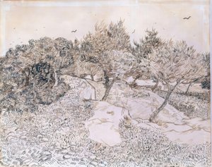 Oliventrær i Montmajour av Vincent van Gogh