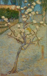 Lite pæretre i blomst av Vincent van Gogh