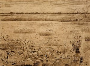 Sumplandskap med vannliljer av Vincent van Gogh