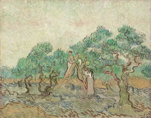 Olivenhagen, 1889. av Vincent van Gogh