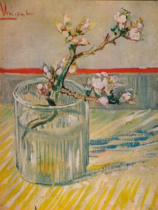 Mandelblomstrende stengel, 1888 av Vincent van Gogh