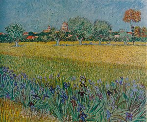Utsikt over Ales med iris i blomst, 1888 av Vincent van Gogh