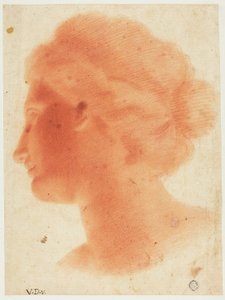  av Vincenzo Dandini