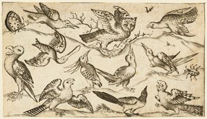 Eleven birds and two insects on minimal ground with owl with wings outstretched..., 1572.     1157362   no       norwegian Successfully Translated  Original: Historiated initial depicting Elisha in the Mantle of Elijah, cutting from an antiphonary, c.1440 
