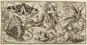 Gruppe av insekter og dyr på en vanlig mark med gress..., 1530 - 1562.