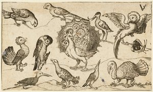 Påfugl i sentrum omgitt av ni andre fugler, inkludert en kalkun og en sommerfugl..., 1572.