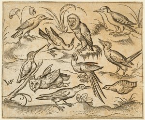 Ti fugler som sitter på grener og gressflekker, inkludert to ugler og en fugl..., 1557.