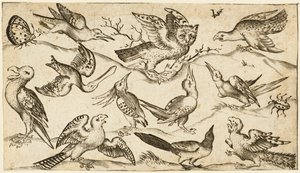 Elleve fugler og to insekter på minimal bakke med ugle med utstrakte vinger sitter på en gren i midten med andre fugler rundt og erter ugle, fra Douce Ornament Prints Album I, etter 1572 (gravering på lagt papir) av Virgilius the elder (after) Solis