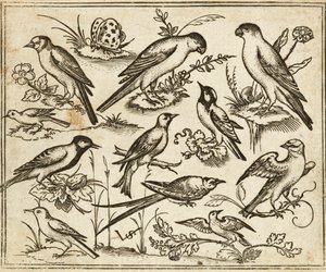Elleve fugler som sitter på flekker med blomstrende løvverk og små greiner på en minimal bakke med en sommerfugl, fra Douce Ornament Prints Album I av Virgilius the elder (after) Solis