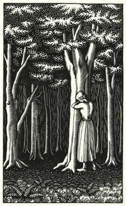 Illustrasjon for Tess Of The D