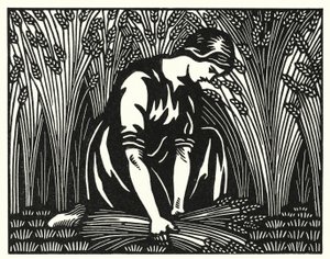 Illustrasjon for Tess Of The D