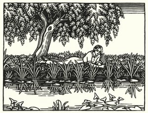 Illustrasjon for Tess Of The D'Urbervilles av Thomas Hardy (gravering) av Vivien Gribble