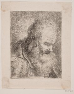 Bearded Olding, Bust
