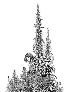 Gerda kjente hver blomst i hagen, c1930 av William Heath Robinson