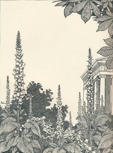 Illustrasjon til A Midsummer Nights Dream, 1914, 1925. av William Heath Robinson