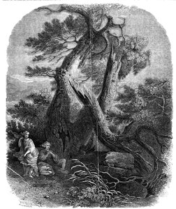 Eksemplar av tregravering, The Death of the Children of Niobe, ...1844.