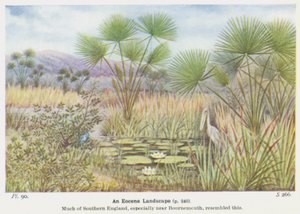 Et eocen landskap (farge litho) av W. J. Stokoe