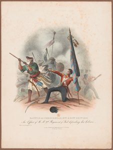 ?Slaget ved Ferozeshah 21. og 22. desember 1845. En offiser ved HM 9. regiment som forsvarer sine farger? av W. Kohler